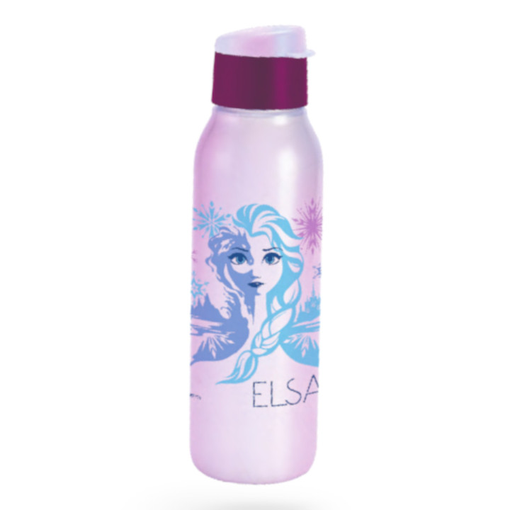 Eco Active 750 ml Decorado Frozen