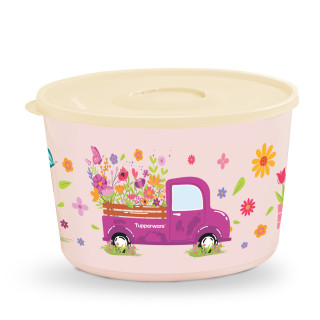 Tazones Ilúmina Decorado: Carcachas