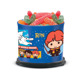 Practibote 600 ml Harry Potter