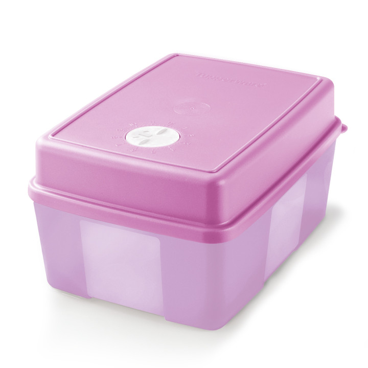 Frigofechador Rectangular