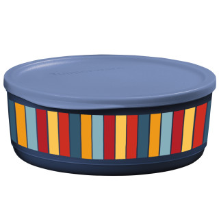 Eco Botes Decorados: Floralis